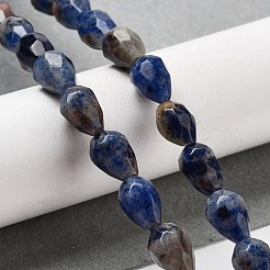 Natural Sodalite Beads Strands&nbsp;G-P520-B23-01