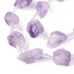 Raw Rough Natural Amethyst Beads Strands&nbsp;G-Q610-04