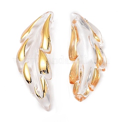 Transparent Acrylic Pendants&nbsp;TACR-D013-02