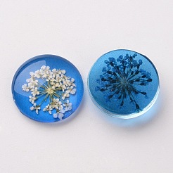 手作りガラスフラットバックカボション  半円/ドーム  ドライフラワーと  ミックスカラー  20x6mm&nbsp;X-GGLA-A004C-20mm