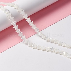 天然トロチッドシェル/トロカスシェルビーズ  スター  貝殻色  8x8.5x2.5~3mm  穴：0.8mm  約55個/連  15.55インチ（39.5cm）&nbsp;SSHEL-O001-25B-02