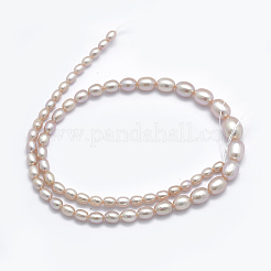 天然養殖淡水パールビーズ連売り  累進  アザミ  5~12x4~9mm  穴：0.8mm  約62個/連  15.7インチ&nbsp;PEAR-K003-21B