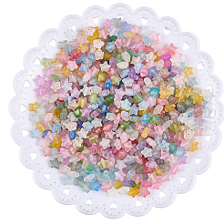 600Pcs 2 Colors Frosted Acrylic Charms&nbsp;OACR-PA0001-35