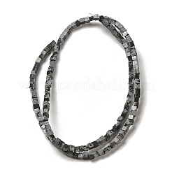 Natural Snowflake Obsidian Beads Strands&nbsp;G-B064-A34