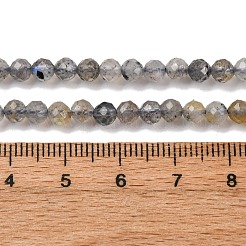 Natural Labradorite Beads Strands&nbsp;G-RM250104-E3