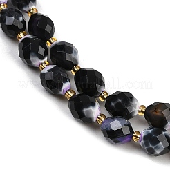 Dyed & Heated Natural Fire Crackle Agate Beads Strands&nbsp;G-N342-149I-21
