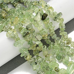 Natural Prehnite Beads Strands&nbsp;G-P332-41A