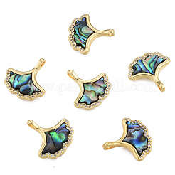 合成アワビのシェル/パウア シェル チャーム、本物の 18K ゴールド メッキの真鍮パーツ  ニッケルフリー  イチョウ葉  カラフル  15x15x3mm  穴：1.6mm&nbsp;KK-N233-428