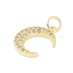 Rack Plating Brass Micro Pave Clear Cubic Zirconia Charms&nbsp;KK-Z060-09G-03