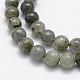 Natural Labradorite Beads Strands&nbsp;G-P322-29-8mm-3