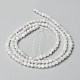 Natural Rainbow Moonstone Beads Strands&nbsp;X-G-O186-D02-01-3