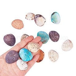 染め天然シェルビーズ  ミックスカラー  32~37x20~29x8~10mm  穴：1mm  約100~120個/箱&nbsp;BSHE-PH0003-02