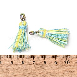 Polyester Tassel Pendants&nbsp;FIND-D302-01G