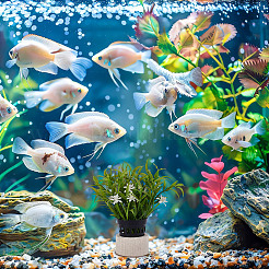 セラミック製水生植物保持リング10個  水族館用人工植栽リング  2種類のスタイルのPVC植木鉢2個付き  ミックスカラー  46.5x26.5mm&nbsp;AJEW-NB0007-16