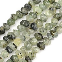 Natural Prehnite Beads Strands&nbsp;G-P617-B01-01
