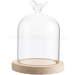 1Pc Glass Dome Cover&nbsp;AJEW-SC0002-61A