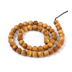 天然木ビーズ連  ラウンド  8~8.5mm  穴：1.5mm  約50個/連  15.5インチ（39.5cm）&nbsp;X-WOOD-F006-01-8mm