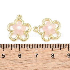 Alloy & Resin Pendants&nbsp;RE-CBA1FD3-13G
