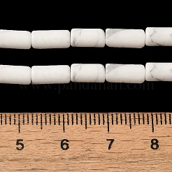 Natural Howlite Beads Strands&nbsp;G-B091-A17-01