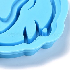 Shaker Mold&nbsp;DIY-C039-10