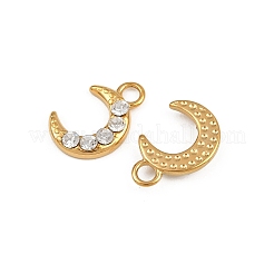 304 Stainless Steel Charms&nbsp;STAS-A120-07G