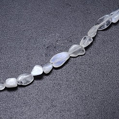 ナチュラル ホワイト レインボー ムーンストーン ナゲット ビーズ 連売り  タンブルストーン  6~12x5~7mm  穴：1mm  約15.7インチ&nbsp;G-O048-07