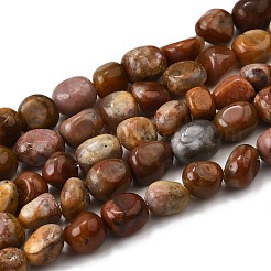 Natural Petrified Wood Beads Strands&nbsp;G-L621-C11-01