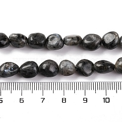 天然ラルビカイトビーズ連売り  ナゲット  タンブルストーン  7~12x6~8x5~7mm  穴：1mm  約43~44個/連  15.47~15.63''（39.3~39.7センチメートル）&nbsp;G-G146-A13-01