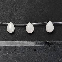 Natural White Jade Beads Strands&nbsp;G-P562-A01-01