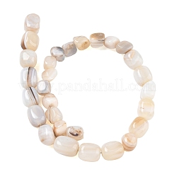 Natural Banded Agate Beads Strands&nbsp;GG-CBA9392-11
