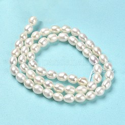天然養殖淡水パールビーズ連売り  ライス  グレード5 A  フローラルホワイト  5~5.5x4.5~5mm  穴：0.7mm  約60~61個/連  14.25''~14.41''（36.2~36.6センチメートル）&nbsp;PEAR-E016-125