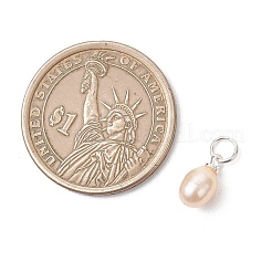 Natural Cultured Freshwater Pearl Pendants&nbsp;PALLOY-JF05172-02