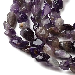 Natural Amethyst Beads Strands&nbsp;G-C268-A05-8x10mm