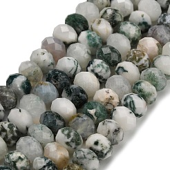 Natural Tree Agate Beads Strands&nbsp;G-Z111-A46