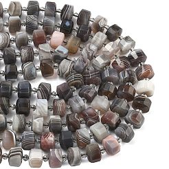 Natural Botswana Agate Beads Strands&nbsp;G-G453-G10-7x12mm