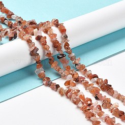天然南赤瑪瑙ビーズ連売り  チップ  1~5x3~16x3~5mm  穴：0.8~0.9mm  29.92~32.68''（76~83センチメートル）&nbsp;G-E607-A08