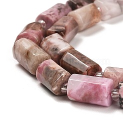 Natural Rhodonite Beads Strands&nbsp;G-G068-A14-01