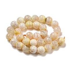 Faceted Natural Fire Crackle Agate Beads Strands&nbsp;G-F447-12mm-H02
