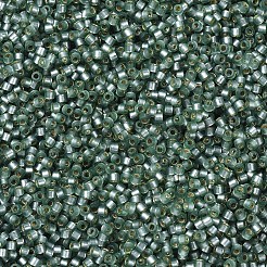 MIYUKI Delica Beads&nbsp;SEED-MY11-DB0689