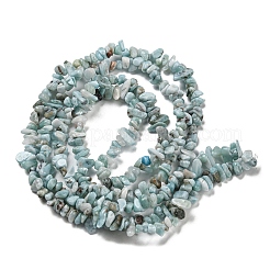天然石ラリマービーズ連売り  チップ  1.5~5x3~13x2~8mm  穴：0.6mm  30.94~31.97''（78.6~81.2センチメートル）&nbsp;G-G0003-B40