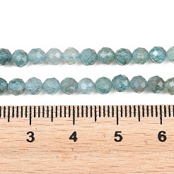 Natural Apatite Beads Strands&nbsp;G-RM250101-C9
