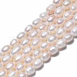 Natural Cultured Freshwater Pearl Beads Strands&nbsp;X-PEAR-N012-07B