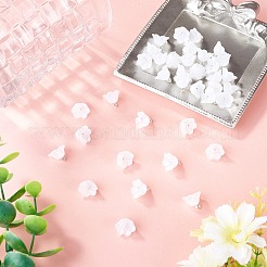 38Pcs Glass Charms&nbsp;GLAA-TADJ0001-19F