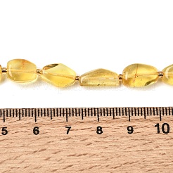 Natural Amber Beads Strands&nbsp;G-K376-G03-03