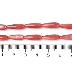 Natural Freshwater Shell Beads Strands&nbsp;SHEL-A004-03F