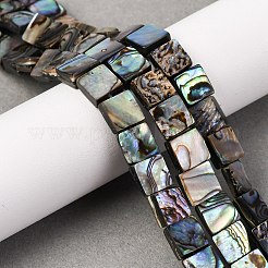 Natural Paua Shell Beads Strands&nbsp;BSHE-ZX006-07A