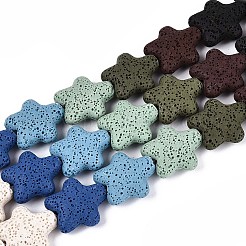 Natural Lava Rock Beads Strands&nbsp;G-N257-23A-01