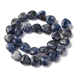 Natural Blue Spot Jasper Beads Strands&nbsp;G-I372-A13-02