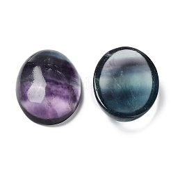 Natural Fluorite Cabochons&nbsp;G-H288-01B
