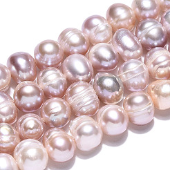 Natural Cultured Freshwater Pearl Beads Strands&nbsp;PEAR-N013-06L